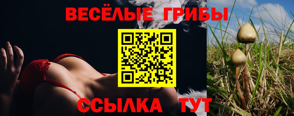 Псилоцибиновые грибы Psilocybine cubensis  Вход с VPN  Псилоцибиновые грибы Psilocybe  Киселёвск 